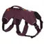 Ruffwear Web Master Harness - Purple Rain