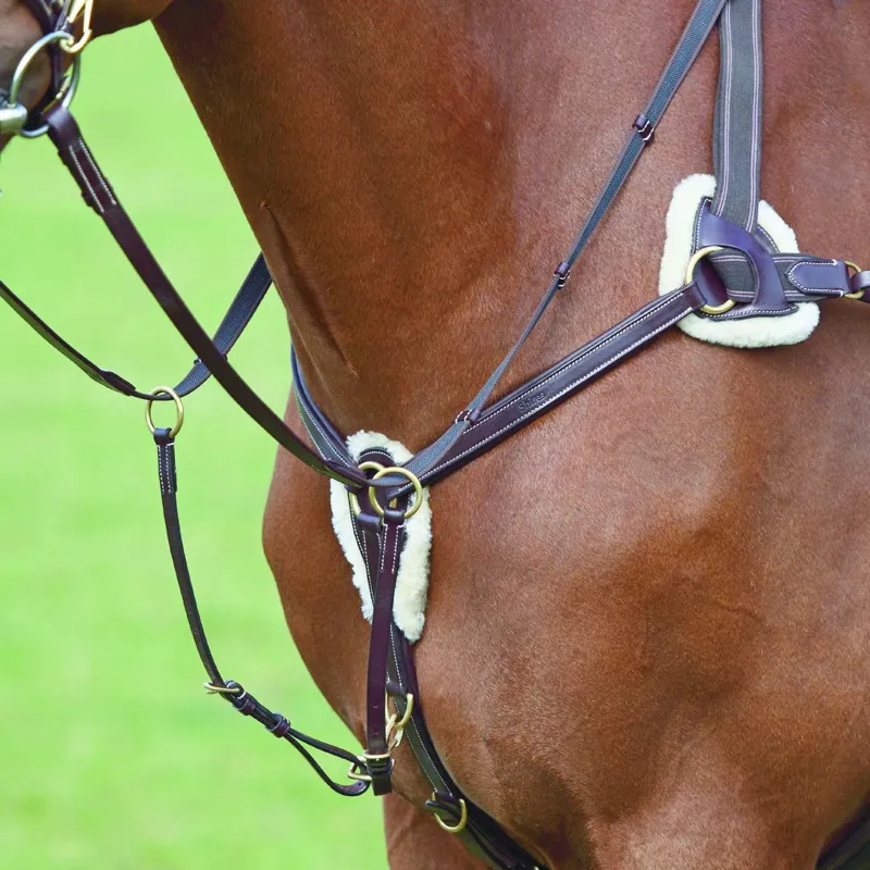 Salisbury Five Point Breastplate Australian Nut