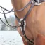 Salisbury Five Point Breastplate Havana