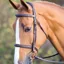 Salisbury Fairford Bridle - Australian Nut