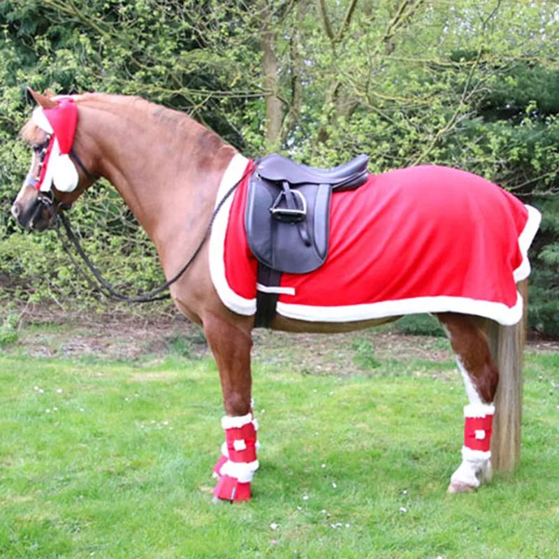 Hy Equestrian Christmas Santa Exercise Sheet