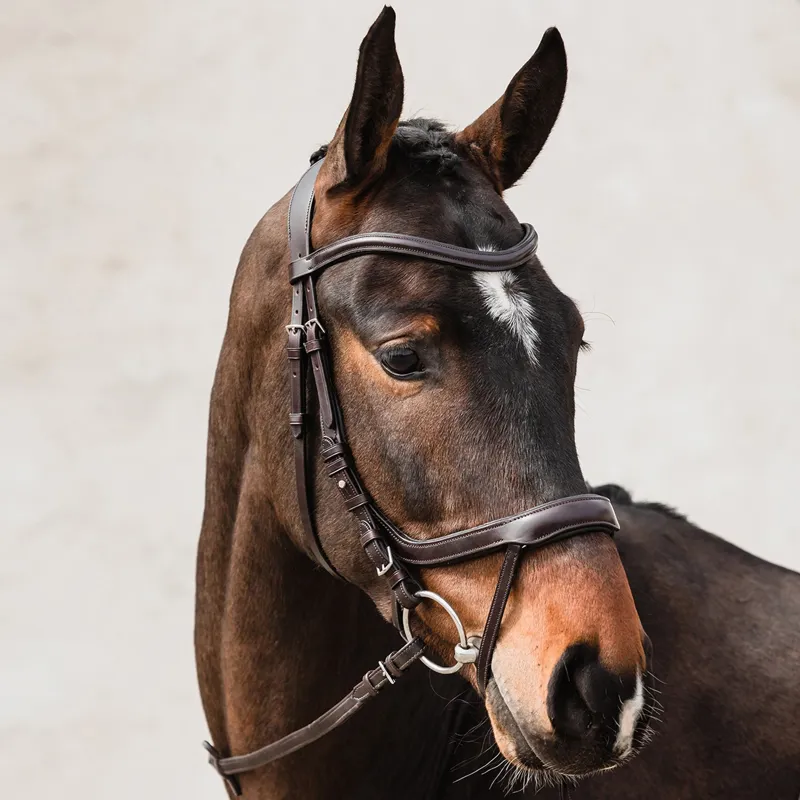 TRIAL ME - Schockemohle Equitus Alpha Bridle - Espresso-2