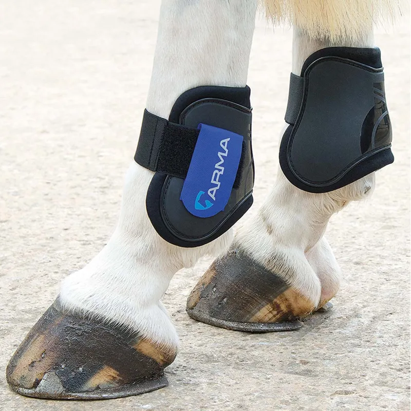 ARMA Fetlock Boots - Black/Royal-1