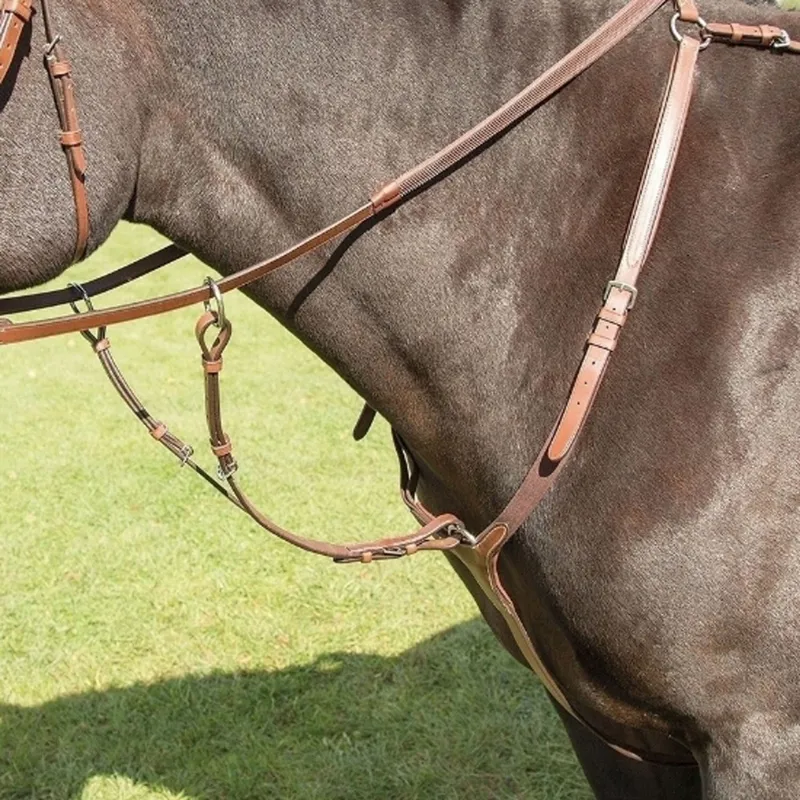 Shires Avignon Breastplate - Oak