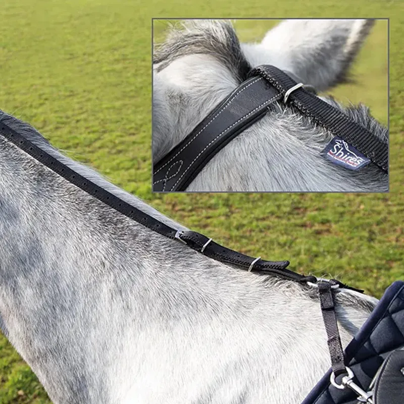 Daisy Rein - Black-1