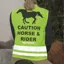 Shires Equi-Flector Childs Safety Vest - Yellow