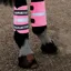 Shires Equi-Flector Bands Pink