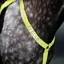 Shires Equi-Flector Breastplate - Yellow