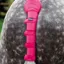 Shires Padded Tail Guard - Pink