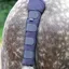 Shires Padded Tail Guard - Navy