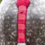 Shires Padded Tail Guard - Red