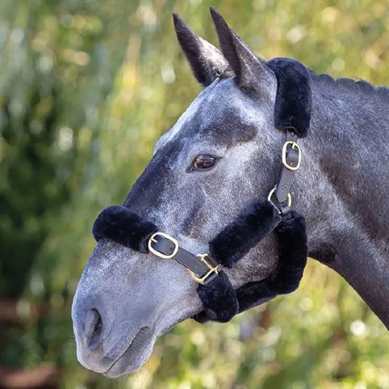 Shires Performance Supafleece Halter Fleece Set - Black