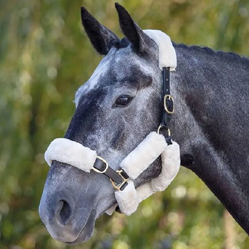 ARMA SupaFleece Halter Fleeces - Natural