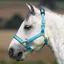 Shires Topaz Headcollar - Blue