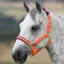 Shires Topaz Headcollar - Orange