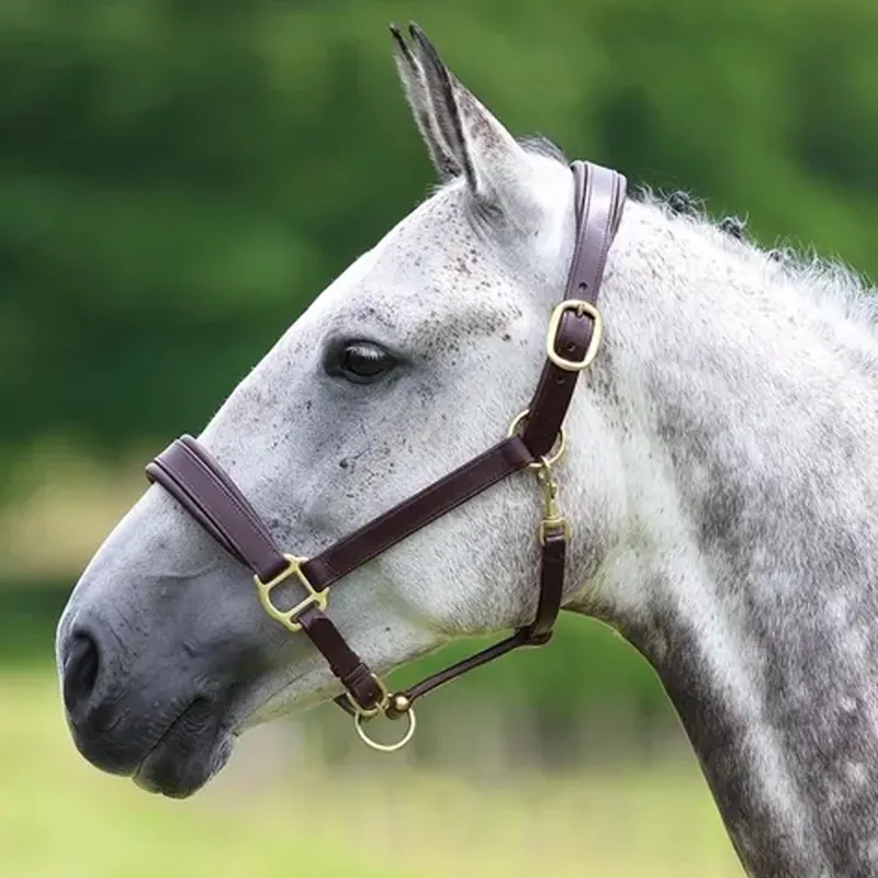 Velociti GARA Leather Travel Headcollar - Havana