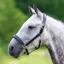 Velociti GARA Leather Travel Headcollar - Black