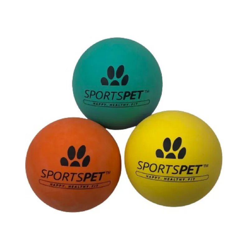 Sports Pet Medium High Bounce Ball