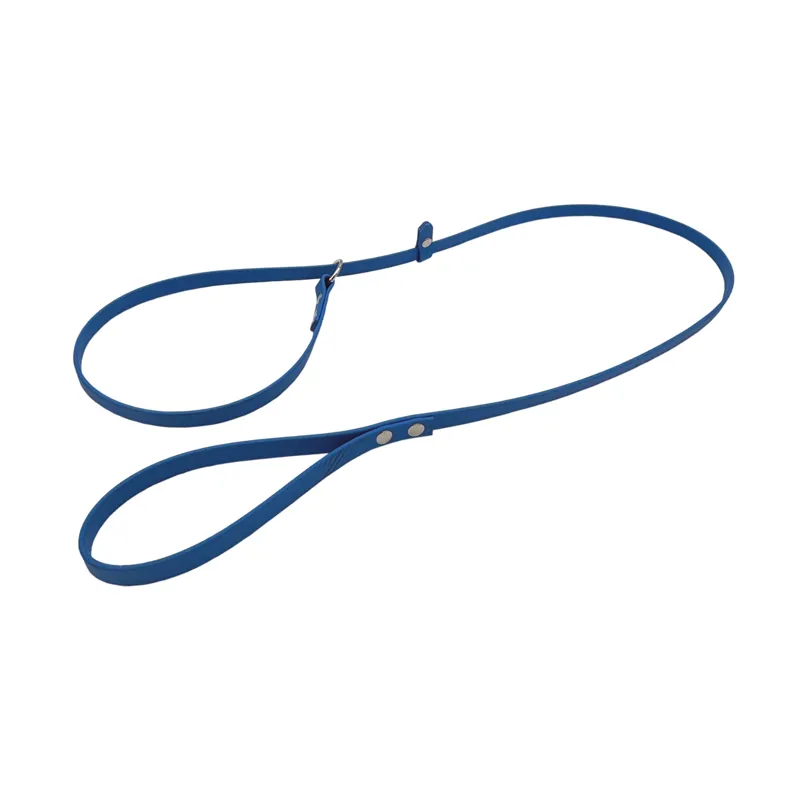 Sporting Saint Biothane Slip Lead - Electric Blue
