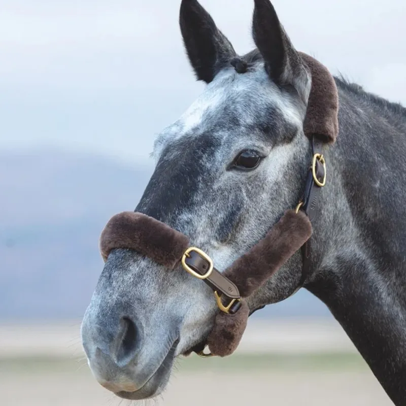 ARMA SupaFleece Halter Fleece Set - Brown