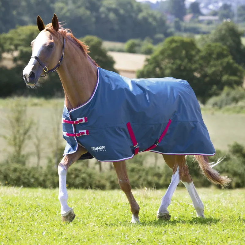 Tempest Original Lite Turnout Rug Teal