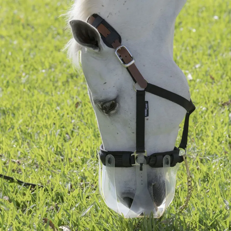 ThinLine Breakaway Halter - Black-2