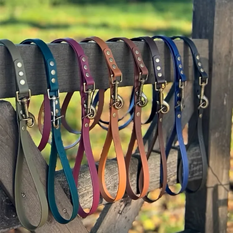 Trinkety Paws Biothane Waterproof Dog Lead - Dark Green-1