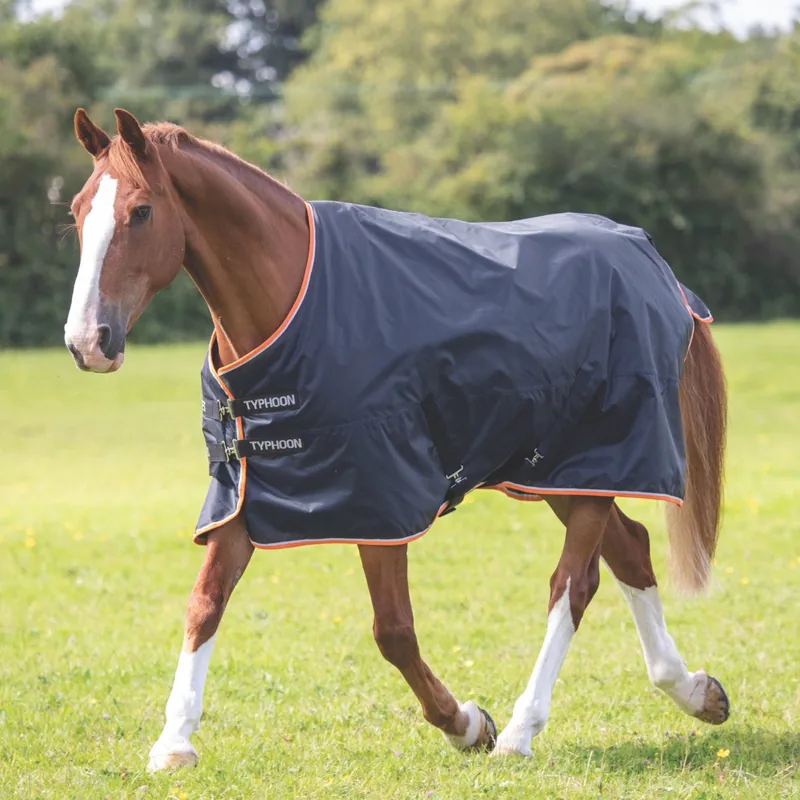 Typhoon 200 Turnout Rug - Black