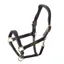 Velociti Rapida Cushioned Leather Headcollar - Black