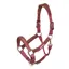 Velociti Lusso Padded Leather Headcollar - Burgundy