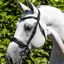 Premier Equine Verdura Anatomic Snaffle Bridle - Black