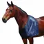Weatherbeeta Satin Shoulder Guard - Navy
