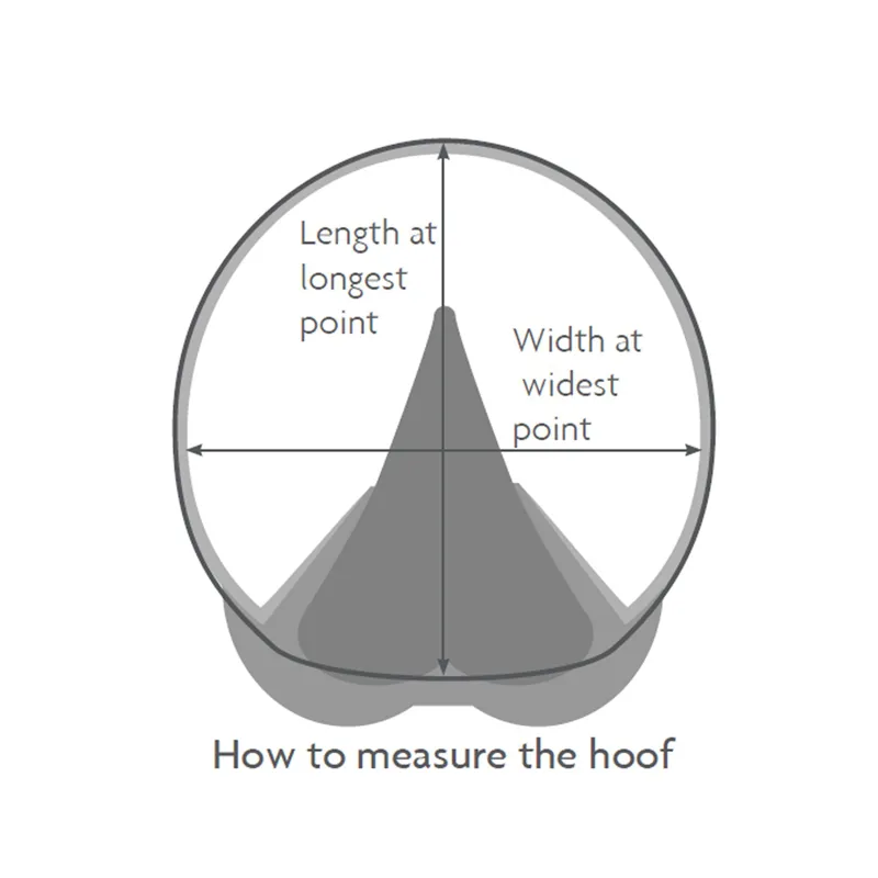 Woof Wear Medical Hoof Boot-4