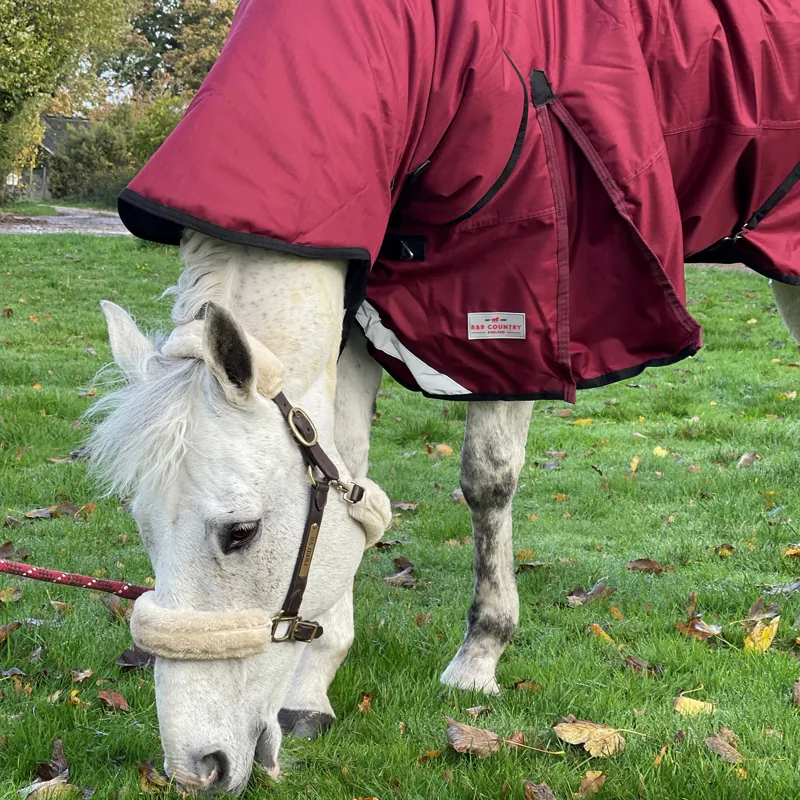 R and R Country 300g Turnout Combo Rug-2