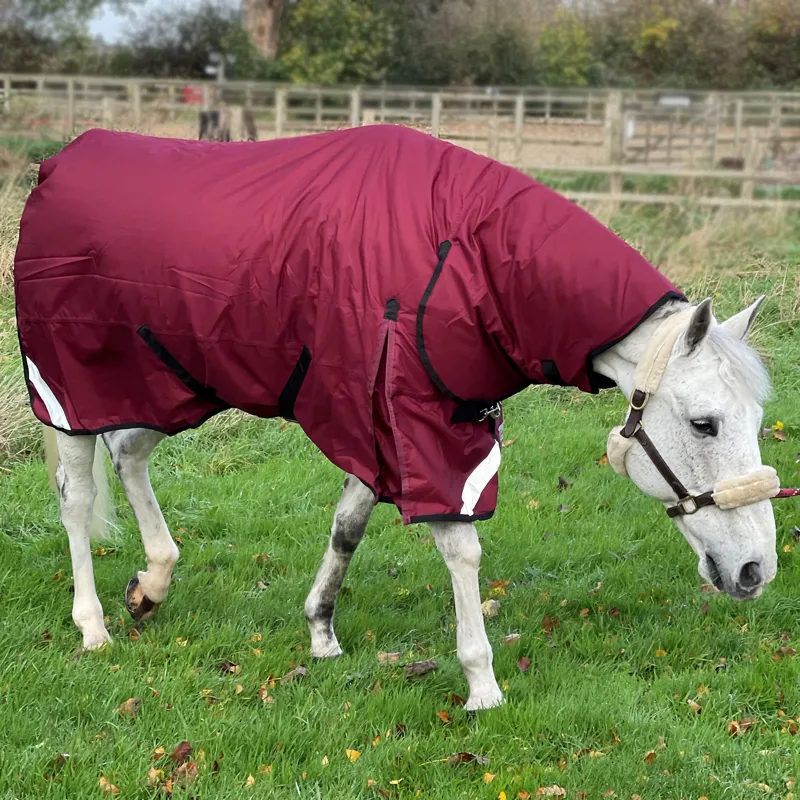 R and R Country 300g Turnout Combo Rug-3