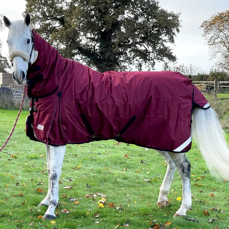 R and R Country 300g Turnout Combo Rug-1