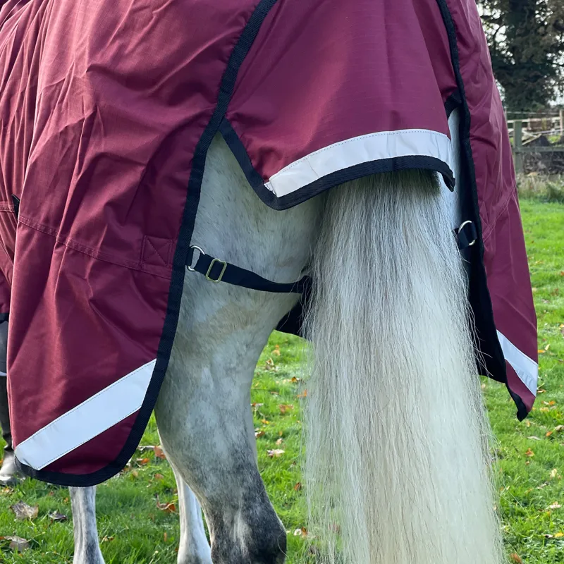 R and R Country 300g Turnout Combo Rug-4