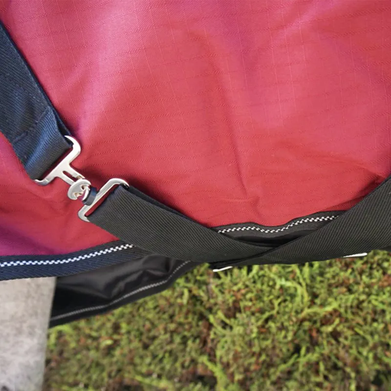 R and R Burghley 100g Detachable Neck Turnout Rug -4