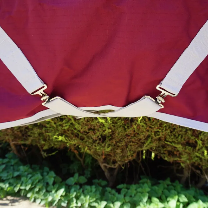 R and R Bramham 50g Standard Neck Turnout Rug-4