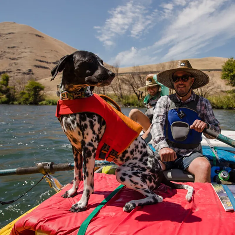 Ruffwear Float Coat Life Jacket - Red Sumac-5