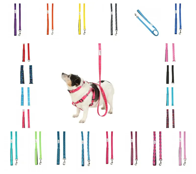 Doodlebone Originals Lead - Red-1