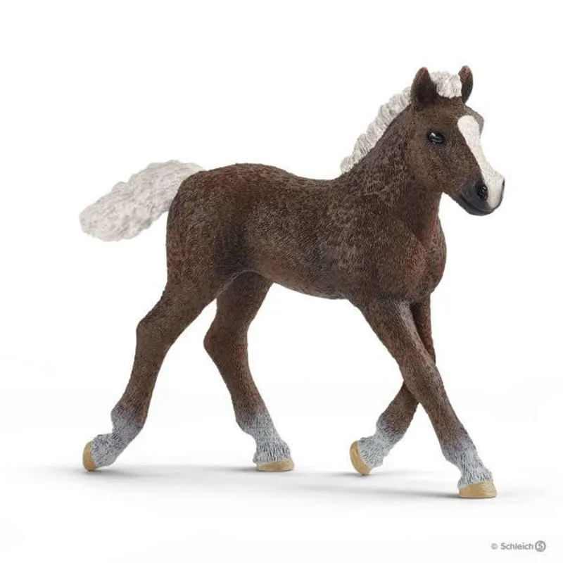 Schleich Black Forest Foal 