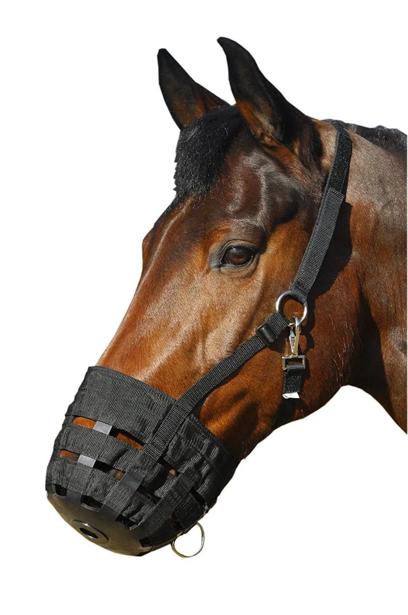 Hy Equestrian Muzzle - Black-1