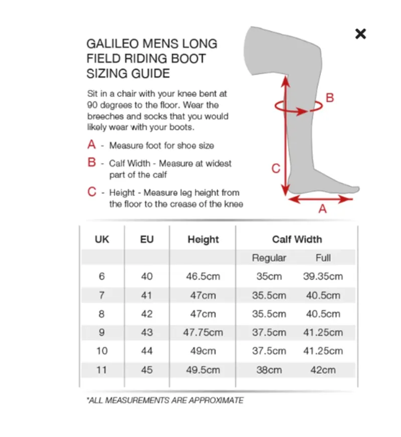 Premier Equine Galileo Mens Long Leather Field Riding Boot - Black-2